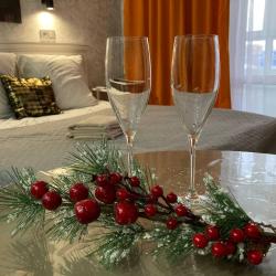 Фото Апартаменты на улице Аристархова 1