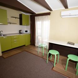 Комната стандарт с 1 двуспальной кроватью и кухней