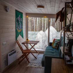 Коттедж стандарт Слизерин