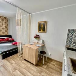 1-комнатные апартаменты студия №2