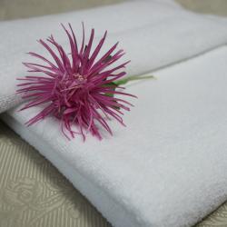 Фото Отель Астра