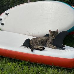 Фото Отель Прибрежный