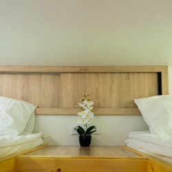 1-комнатные апартаменты студия