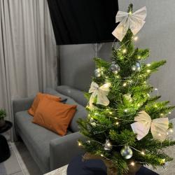 Фото Апартаменты на улице Рауиса Гареева 109