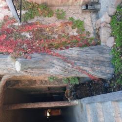 Фото Отель Пан Азиат