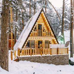 Коттедж премиум