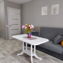 2-комнатные апартаменты улучшенные Вирджиния/ул. Возрождения, д.51/ до 5 чел