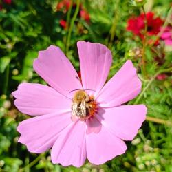 Фото Отель Горы-море House (Хаус)