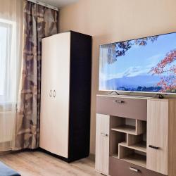 1-комнатные апартаменты стандарт с 1 односпальной кроватью и диваном №2