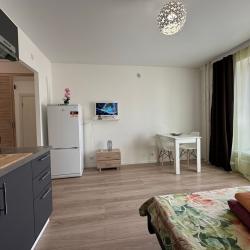 Фото Апартаменты на улице Рябиновая