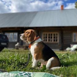 Фото Отель Хутора на озере Алё