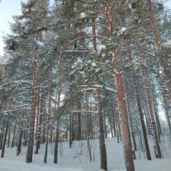 Фото Отель Карельский мыс