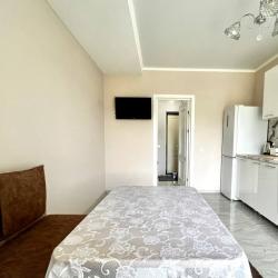 1-комнатные апартаменты стандарт 56