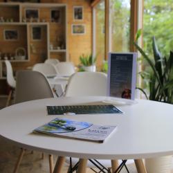 Фото Отель Дивный