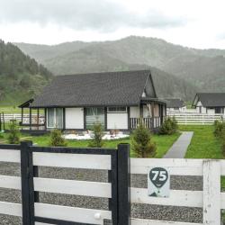 Фото Отель Альпинс residence