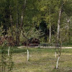 Фото Отель APi ( ЭйПиАй)