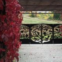 Фото Отель Лунежские горы