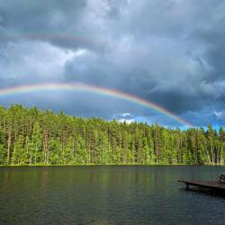 Фото Отель База отдыха Brusnika Village (Брусника Вилладж)