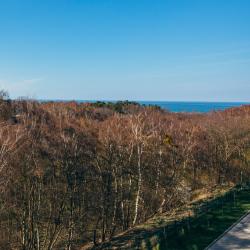 3-комнатные апартаменты улучшенные