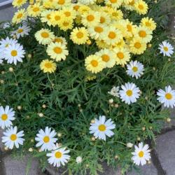 Фото Отель Былина