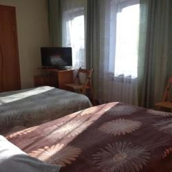 Фото Отель Гостевой купеческий дом