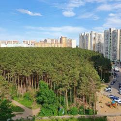 Апартаменты стандарт улица Антонова-Овсеенко, 29