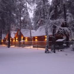 Фото Отель Eko Forest cottage (Эко Форест Коттедж)