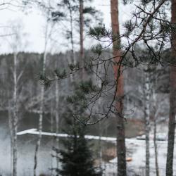 Фото Отель Forrest Lodge Karelia (Форрест Лодж Карелия)