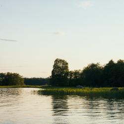 Фото Отель Vyborg Bay ( Бэй)