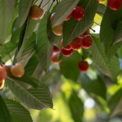 Фото Отель Villa Provence (Вилла Прованс)