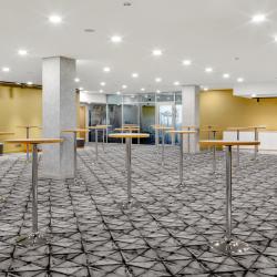 фото 46 Holiday Inn Moscow Vinogradovo (Холидей Инн Виноградово)