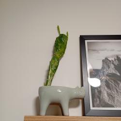 Фото Отель Уютная дизайнерская студия