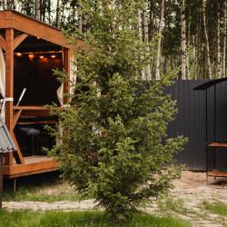 Коттедж премиум