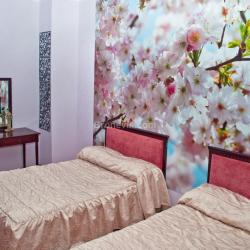 Номер стандарт с 2 односпальными кроватями (с завтраком)