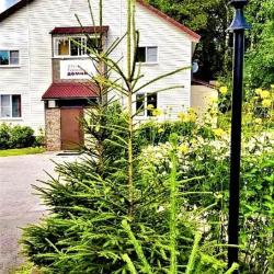 Фото Отель Гостевой домик