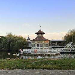 Фото Отель Гостиничный комплекс Кремниевы термы