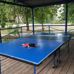 Фото Отель Росинка