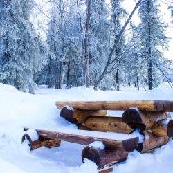 Фото Отель Лапландская деревня