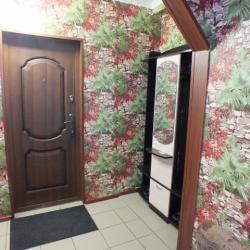 1-комнатные апартаменты эконом переулок Центральный, 3