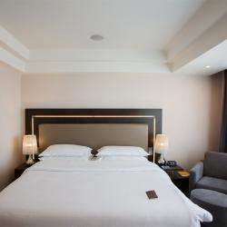 SHERATONPLAZA Ufa Congress Hotel (Шератон Плаза Уфа Конгресс) (бывш. Краун Плаза Уфа Конгресс) — 8c25f095aad186d620fe02f392149563