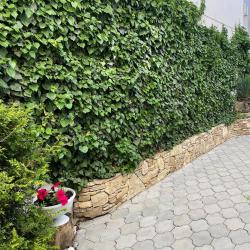 Фото Отель Дуэт