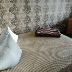 Фото Отель Гостевой Дом Рябиновый