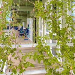 Фото Отель Бунгало Чайка