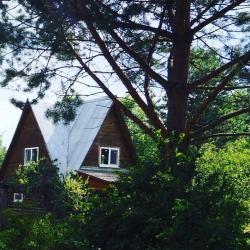 Фото Отель Constanta (Константа)