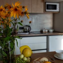 1-комнатные апартаменты студия