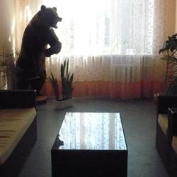 фото 35 Жемчужина Севера