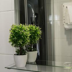 Номер стандарт семейный с 1 двуспальной кроватью