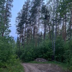 Фото Отель Рай в шалаше