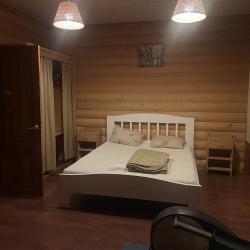 Фото Отель Экодомики