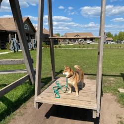 Фото Отель Арина Р.